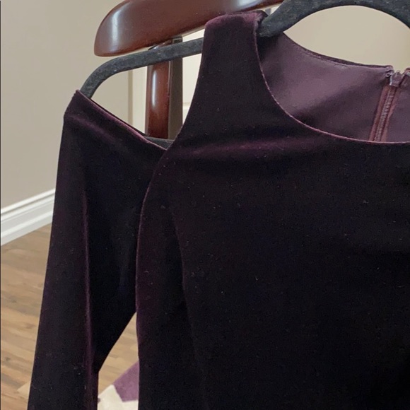 Velvet Dress - Picture 3 of 3